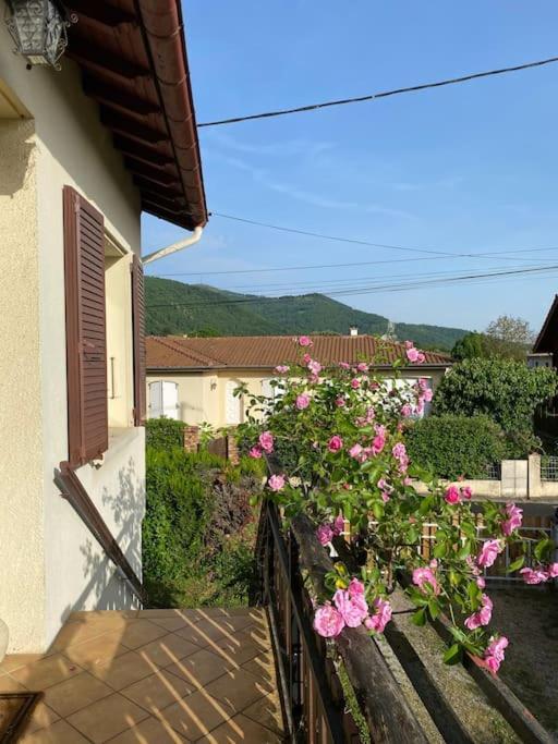 La Terrasse Du Fourcat Lägenhet Saint-Paul-de-Jarrat Exteriör bild